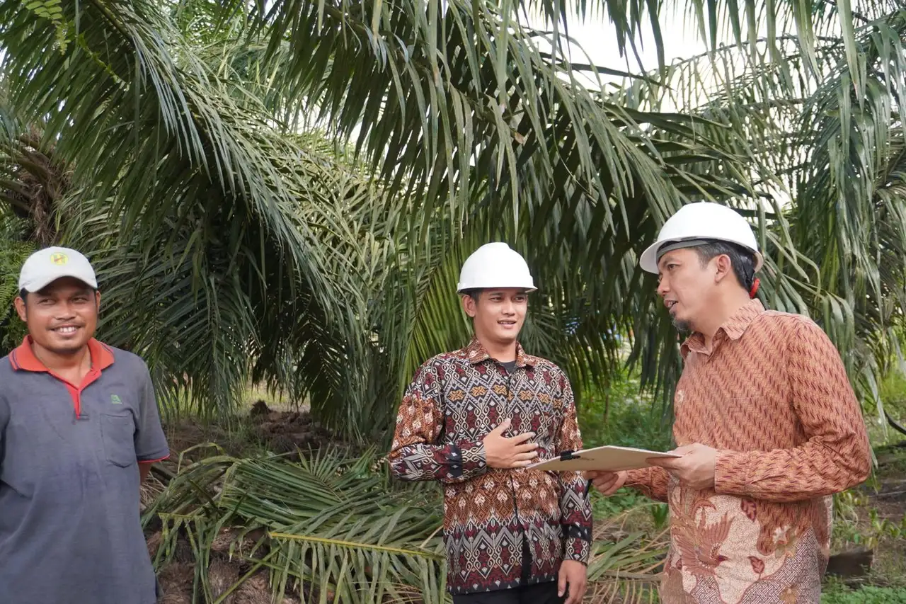 Kebun Sawit Terbaik