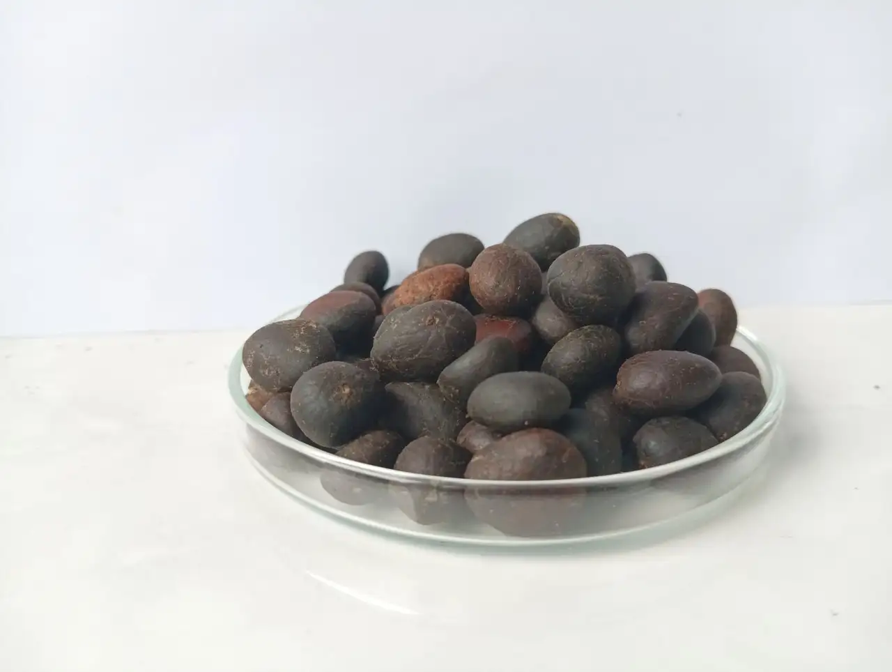 Kernel (biji sawit)