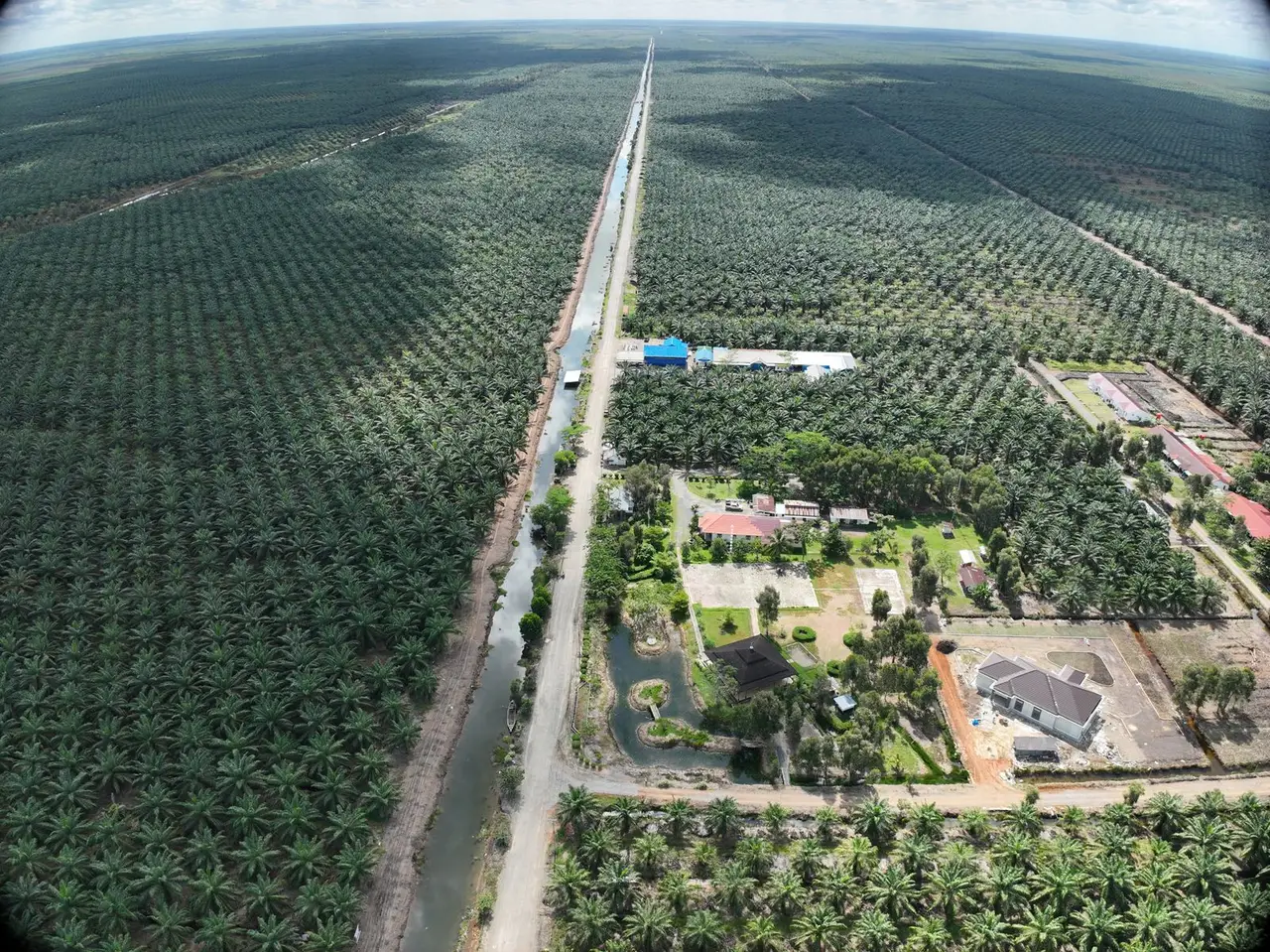 PT. Barito Putera Plantation