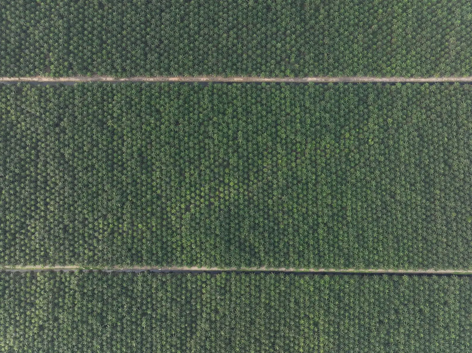 Company Profile Image