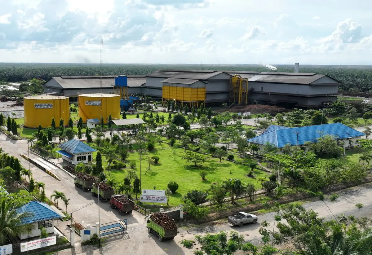 Operasional Pabrik Kelapa Sawit