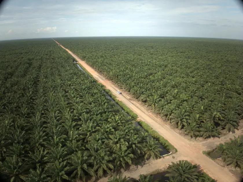 Perkebunan Hasnur Agri